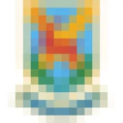 How Wood Primary and Nursery School logo