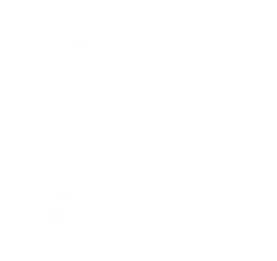 Little Hadham Primary School logo