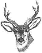South Darley CofE Primary School logo