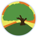 Spring Common Academy logo