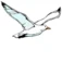 Sutton-on-Sea Community Primary School logo