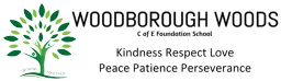 Wood's Foundation CofE Primary School logo